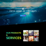 Web Development for fresh Group